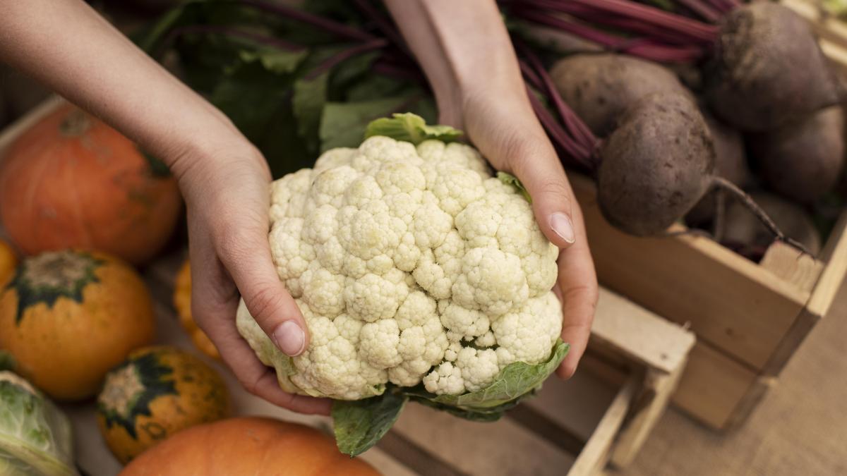 conopida-ajuta-la-pierderea-in-greutate--cate-calorii-ascunde-o-portie-si-ce-anume-asigura-sanatatea-metabolismului_80734500
