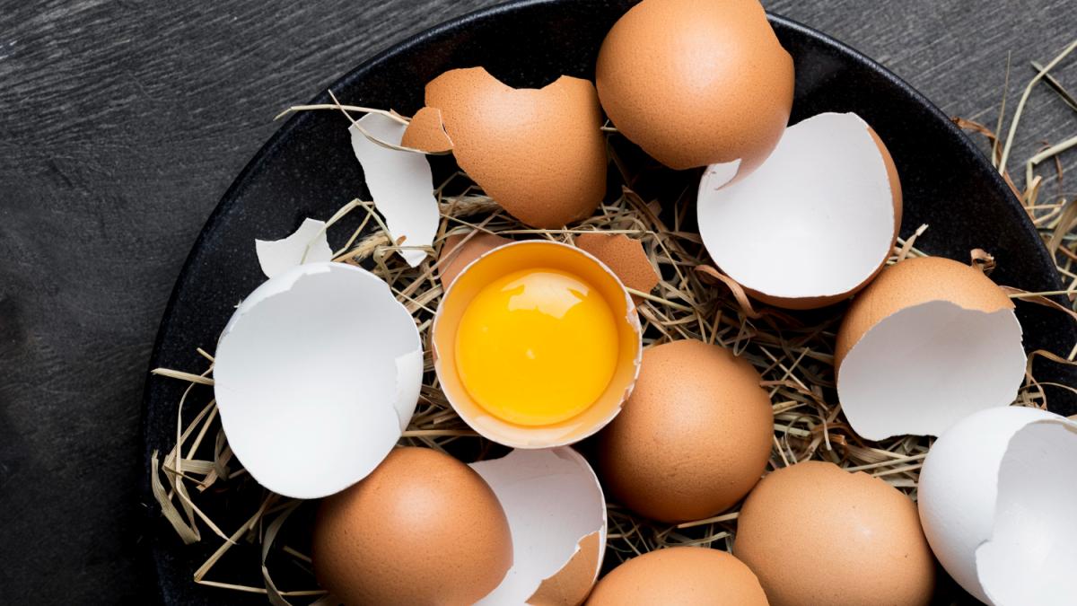 importanta-oului-in-alimentatie_42036900