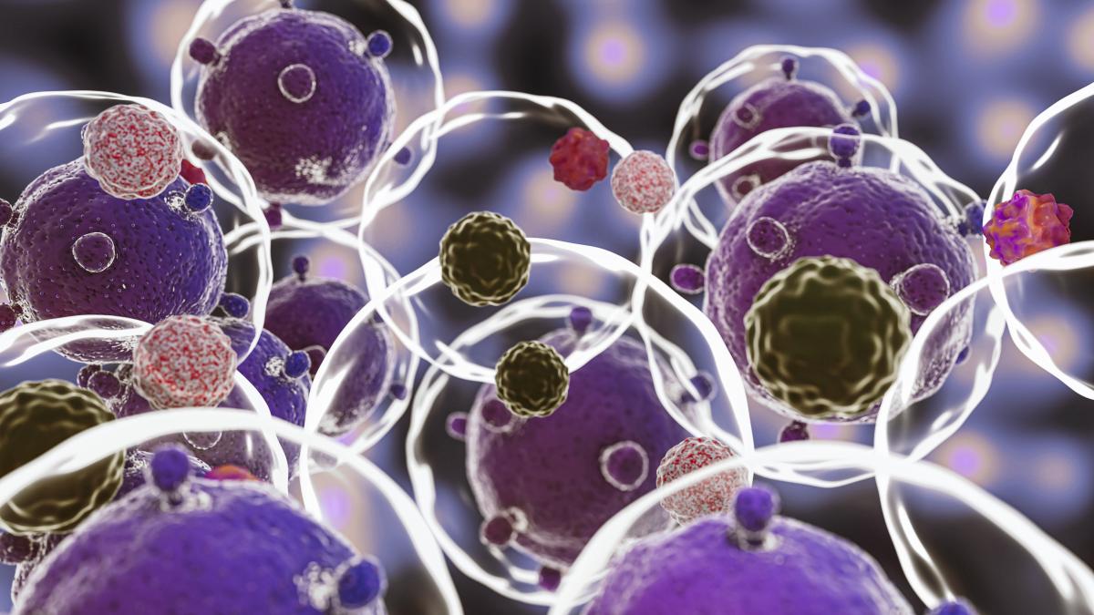cum-inghitim-antibiotice-fara-voia-noastra-_73496300