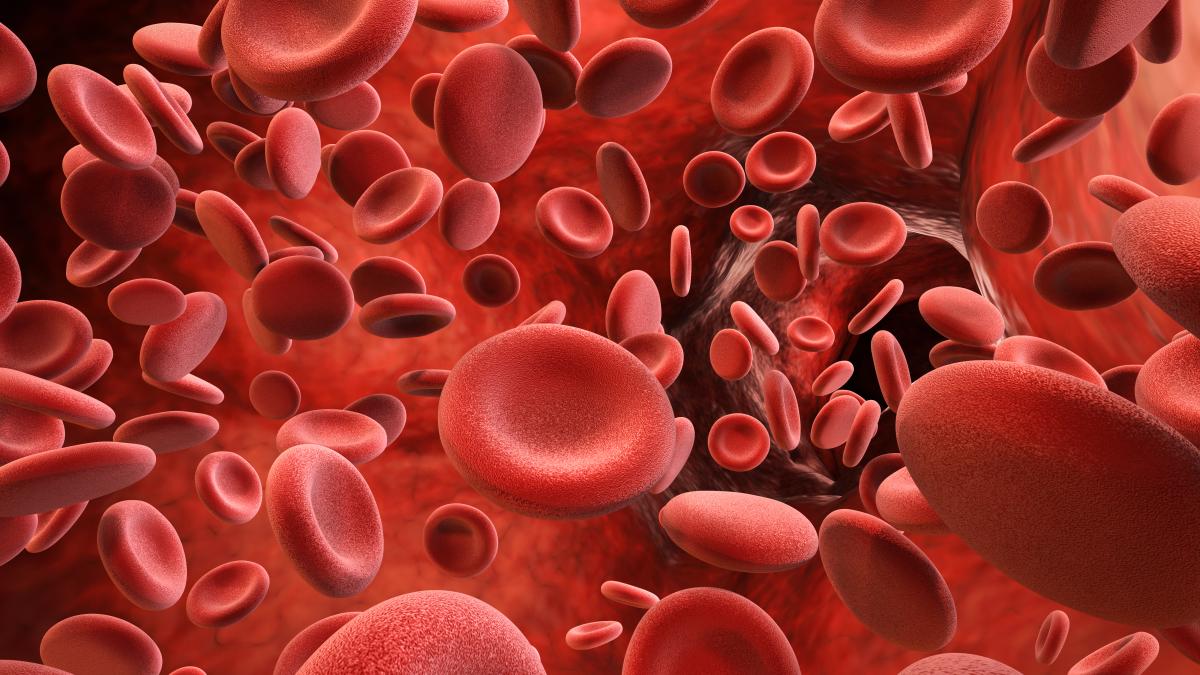 anemia-feripriva1_58744900