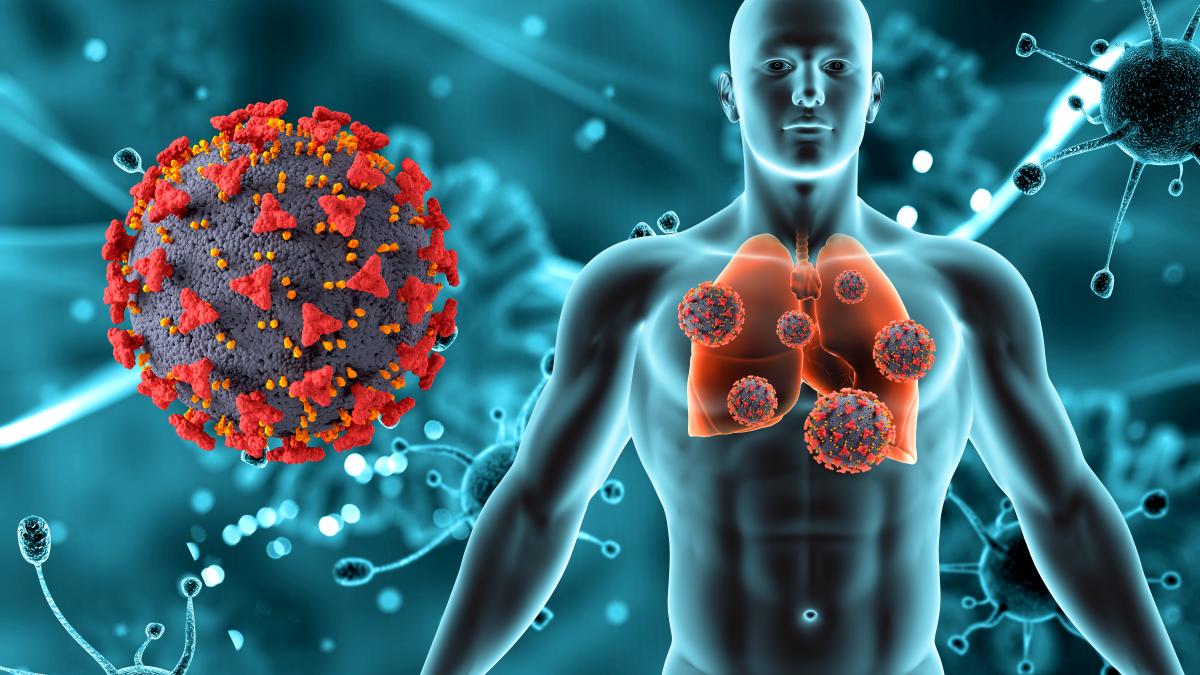 3d-render-medical-background-with-male-figure-lungs-covid-19-virus-cells_45479800