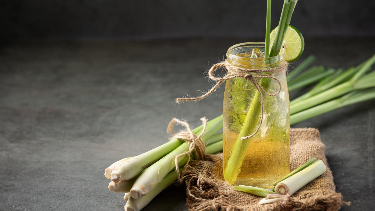 lemongrass1_78452000