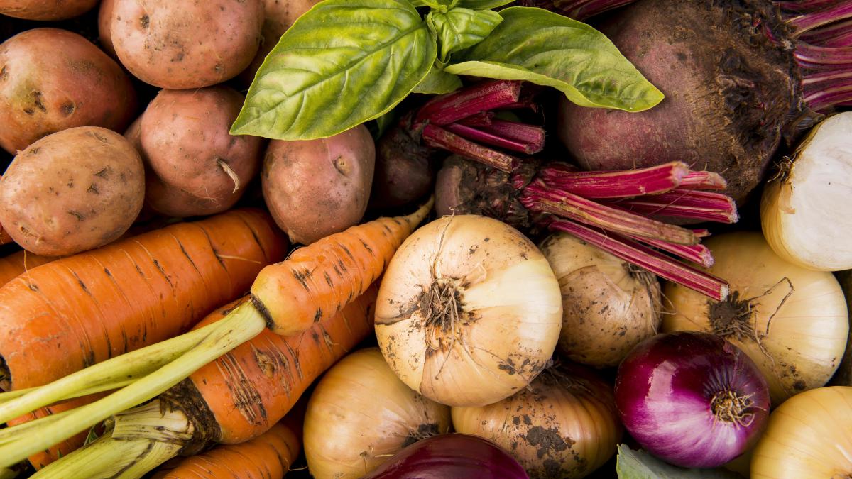 legume_66271200