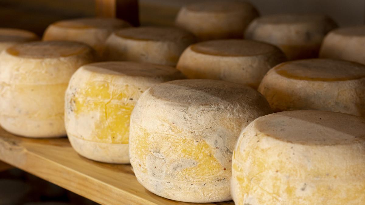 pecorino_86428600