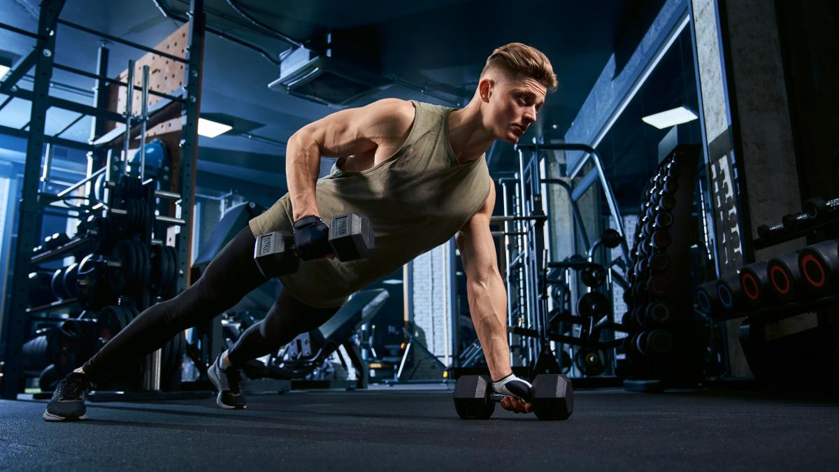 memorie-musculara-1_03900400