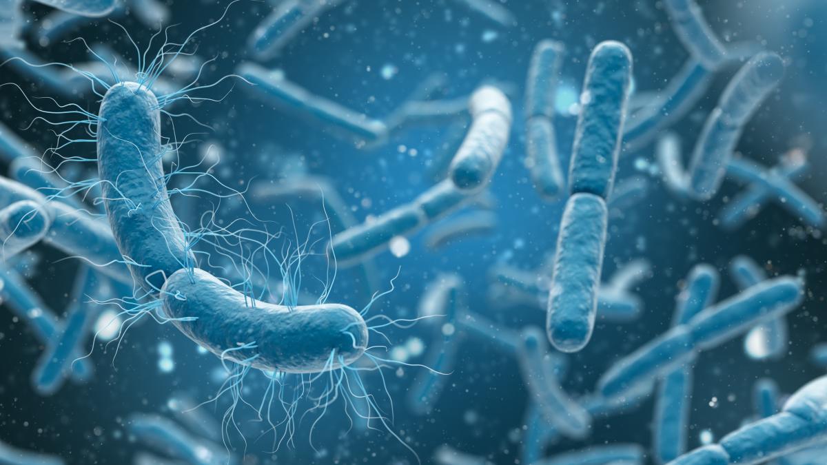 listeria-1_46874800