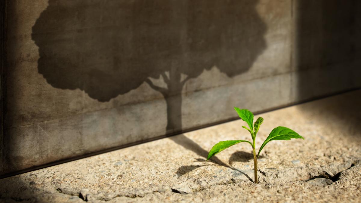 motivatie-1_39095700