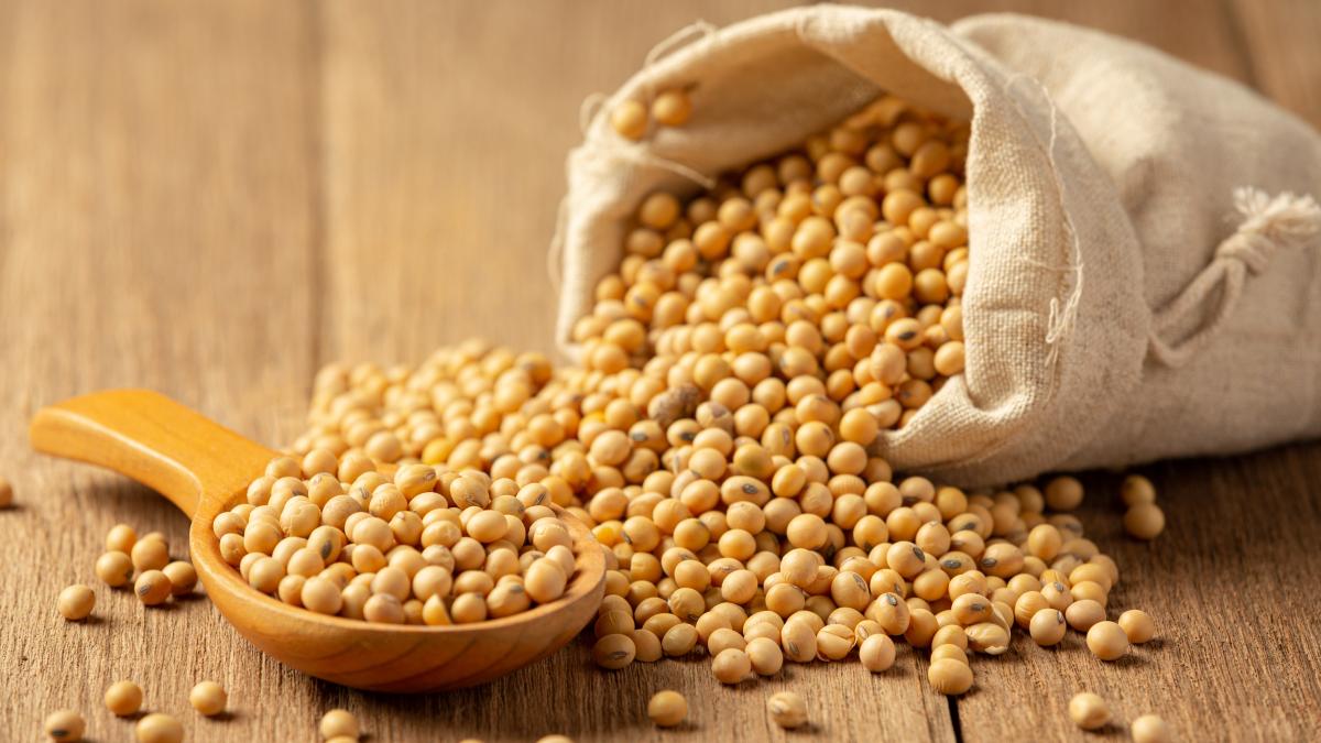 alimentele-nesanatoase-pe-care-multi-le-mananca-in-timpul-postului--ligia-pop-stati-departe-de-soia-ne-ferim-de-ceva--dar-bagam-altceva-mai-rau-in-noi_49926300