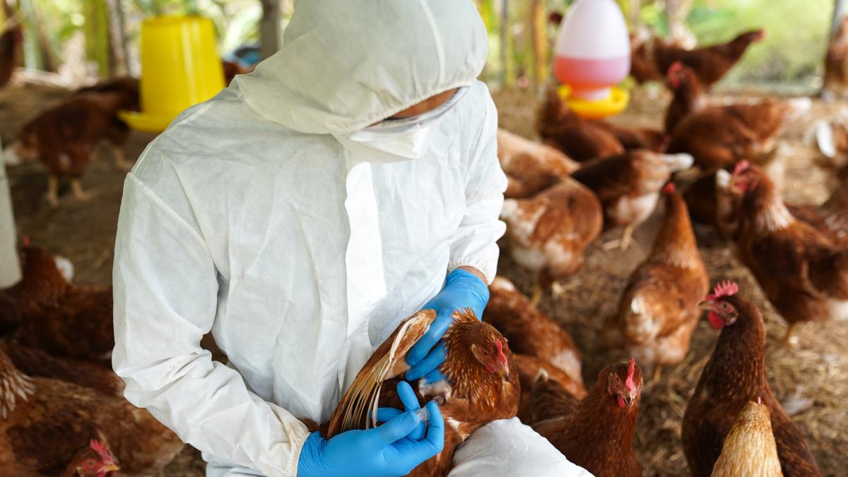 oamenii-transmit-mai-multi-virusi-animalelor-decat-ne-transmit-ei-noua--un-nou-studiu-a-tras-concluziile_29209200