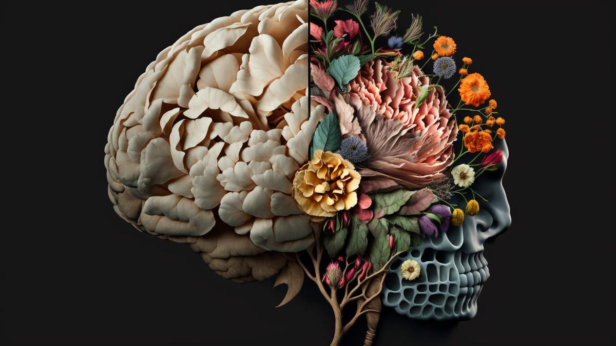 care-este-varsta-creierului-fata-de-cea-biologica_04047800