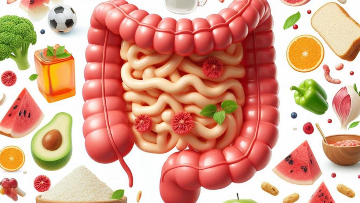 pansament-gastric-mancare-mesteca-mancare_48981100