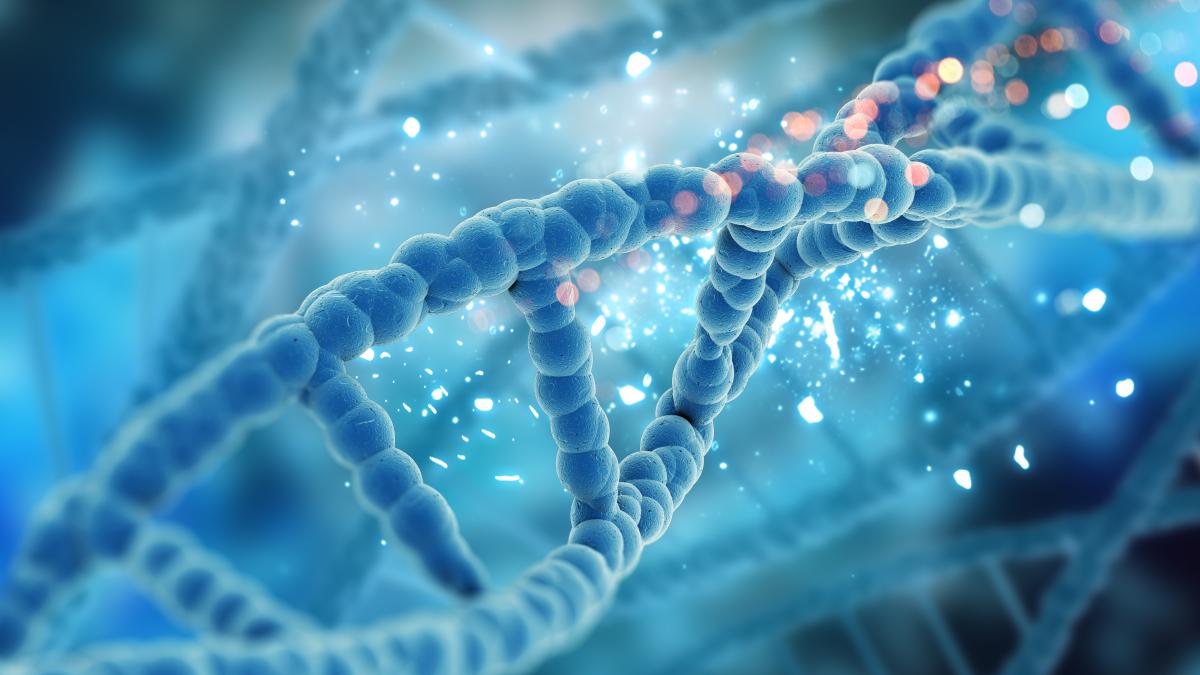 genetica1_63707000