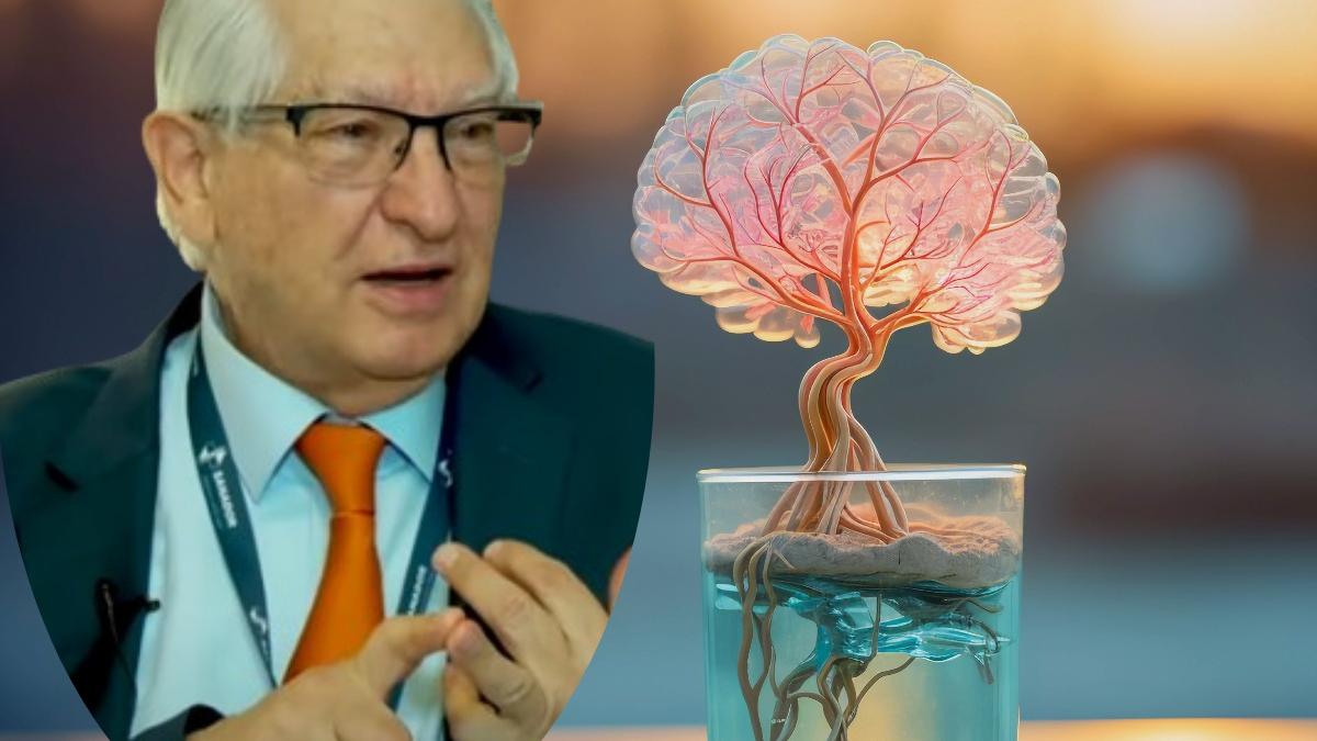 cel-mai-bun-lucru-pentru-sanatatea-creierului-_14001400