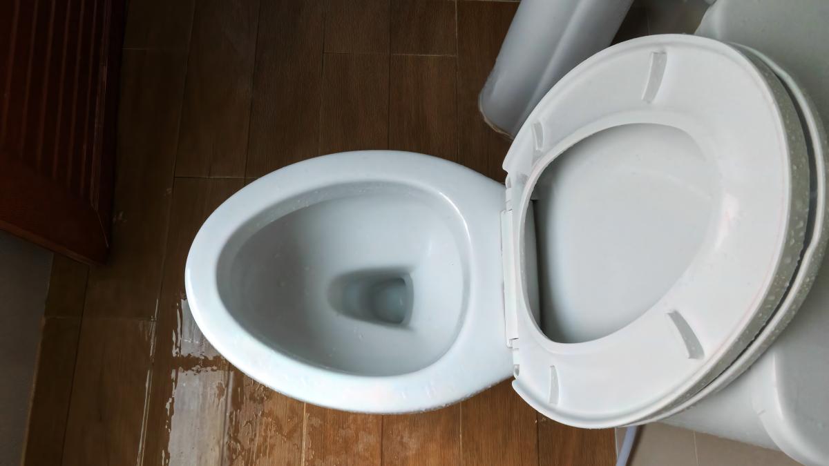 wc_87112800