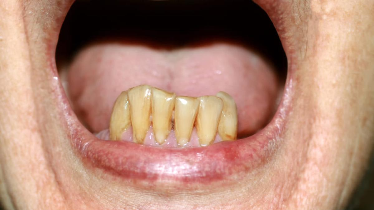 dcmed2_40245000
