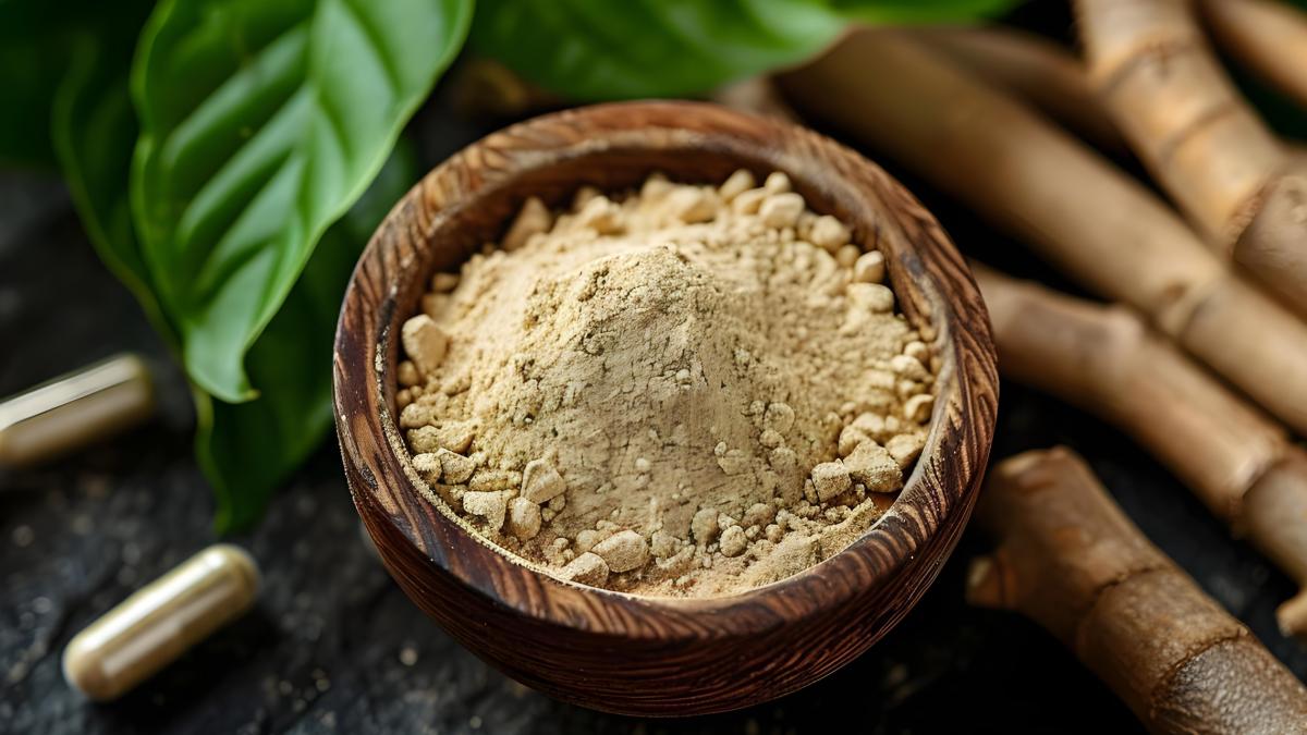 ashwagandha1_96360400