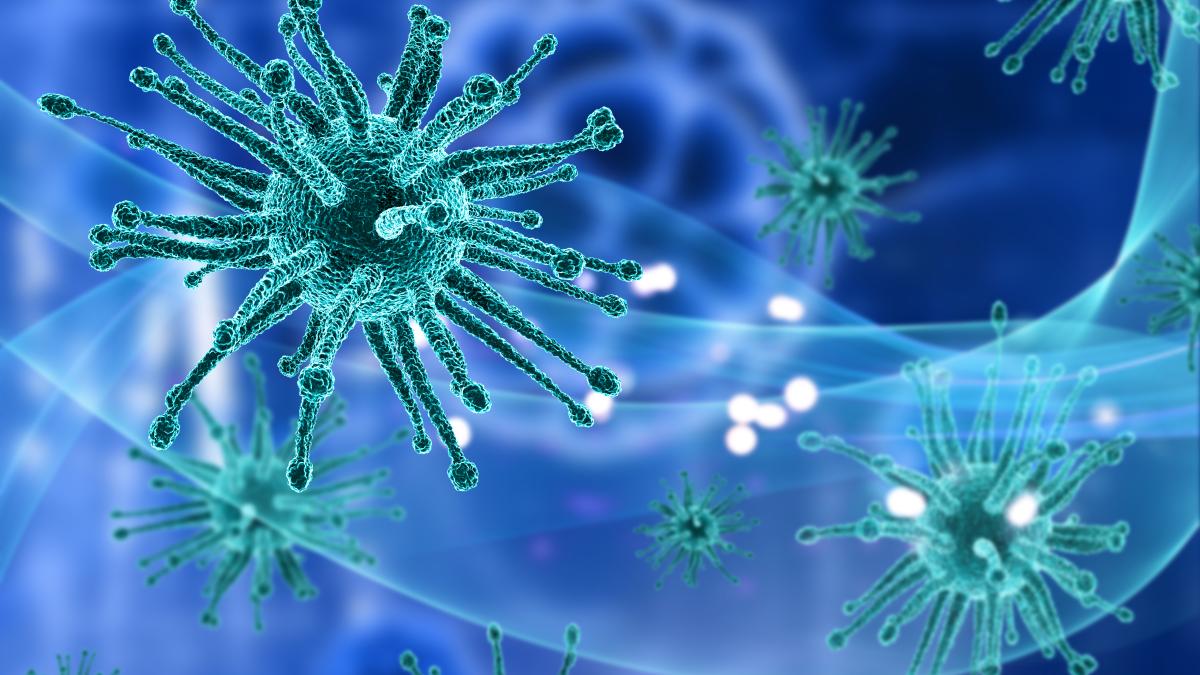 gripa-aviara-h5n1_63922600