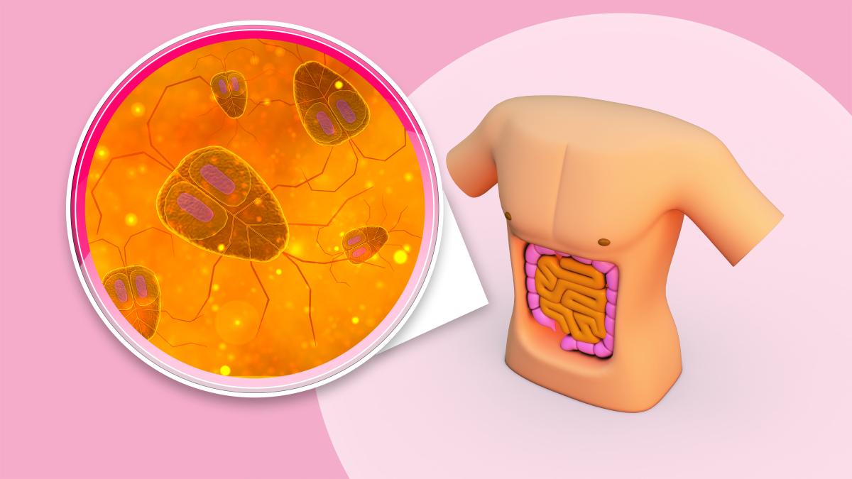 stomac-paraziti-intestinali-viermisori-stomac_84612900