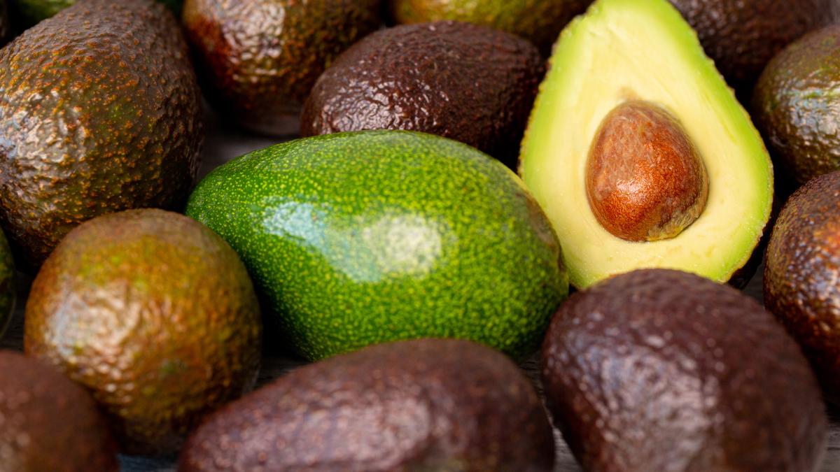 avocado1_99095600
