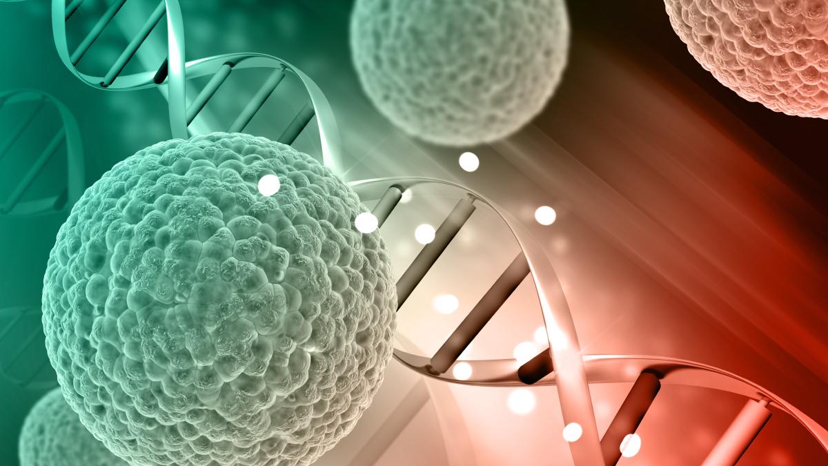 mierea-de-manuka--tratament-pentru-cancerul-de-san_34716600