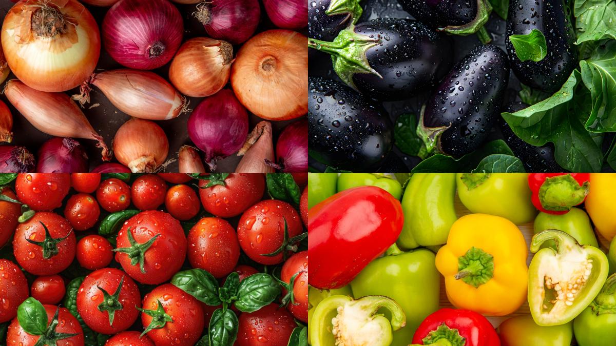 legume_23848400