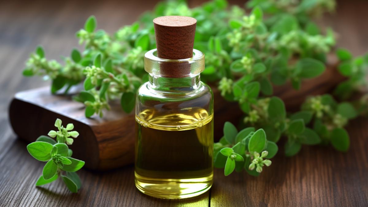 oregano2_67746900