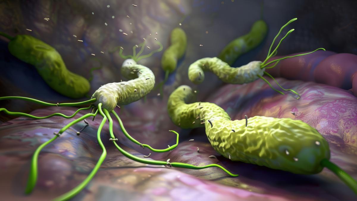 helicobacter-pylori_80515500