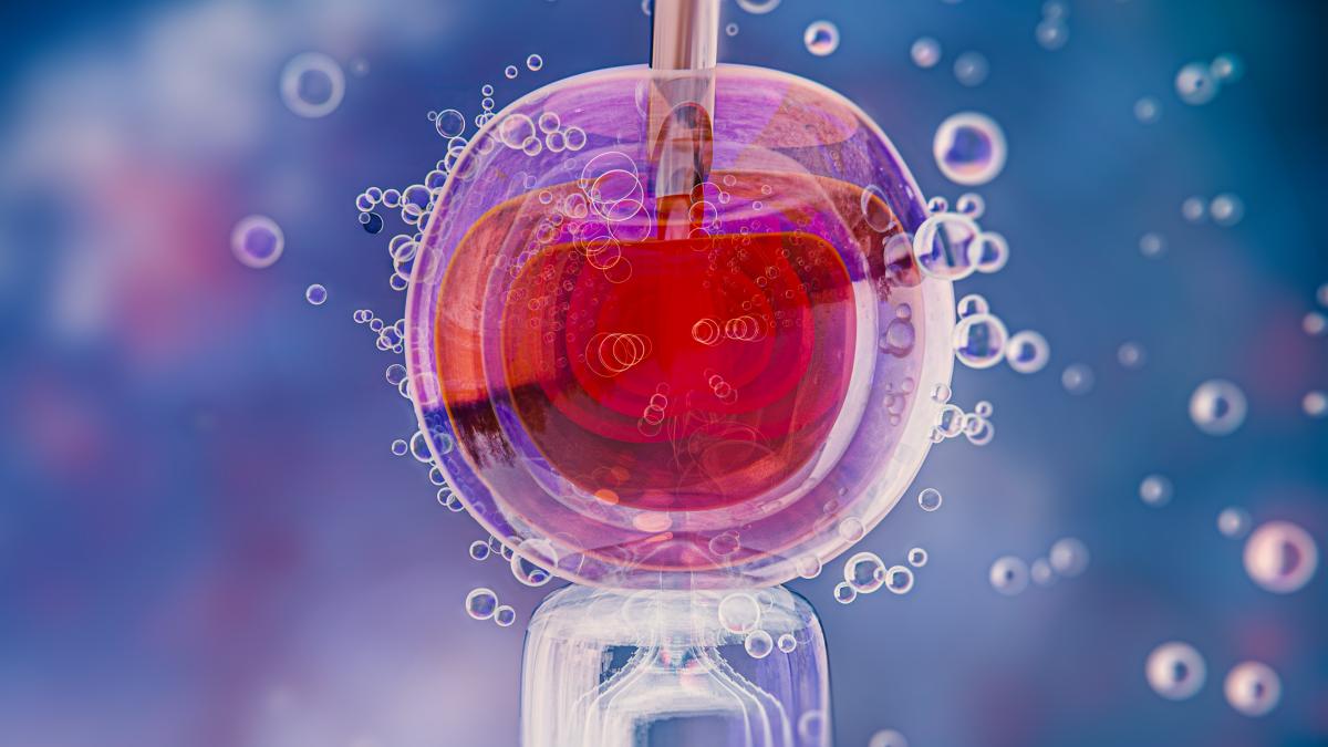 beautiful-fertility-concept-3d-rendering_56528200