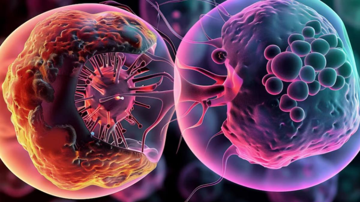 talzenna-si-xtandi--combinatia-de-medicamente-impotriva-cancerului-_90004000