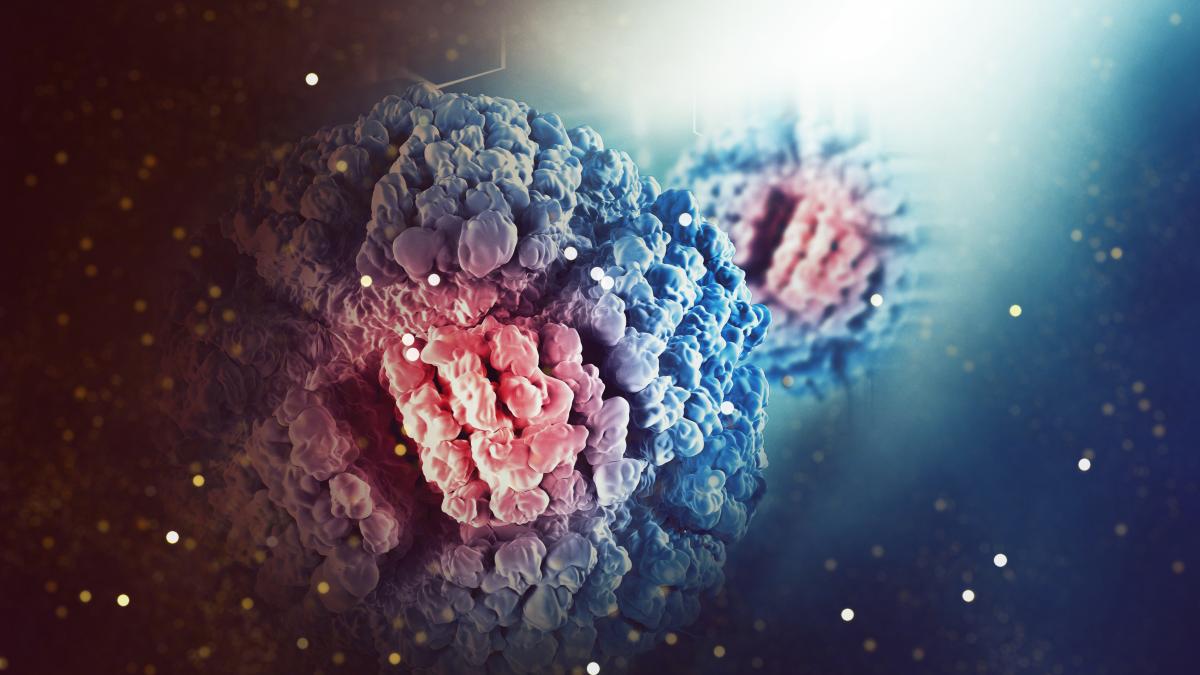 sistemul-imunitar--rol-in-dezvoltarea-si-tratarea-cancerului_66609200