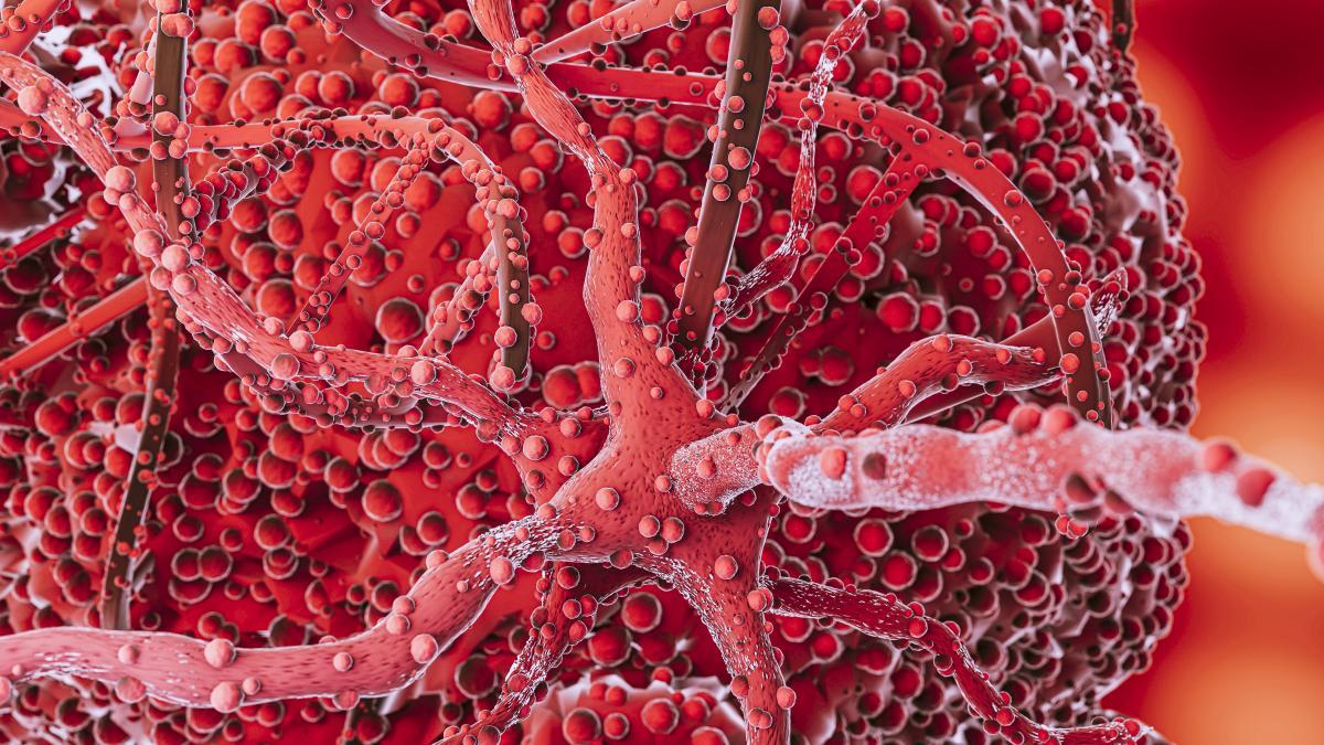 cercetatorii-au-dezvoltat-vase-de-sange-in-mini-organe-crescute-in-laborator_95113200