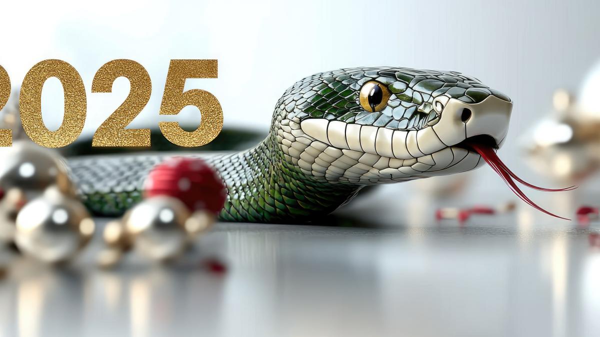 anul-sarpelui-ce-urmeaza-in-2025--schimbarile-care-iti-vor-da-viata-peste-cap_62774100