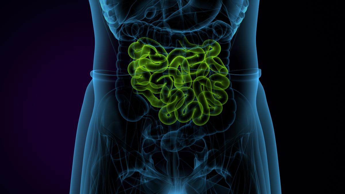 sindromul-intestinului-permeabil_39007800