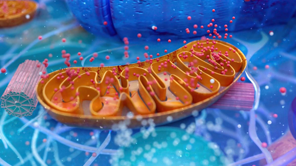 o-proba-de-scaun-poate-detecta-orice-boala-din-corp--ce-este-iphomed--metoda-de-cartografiere-a-tuturor-proteinelor-sintetizate_69446600
