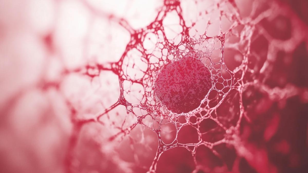 adn-si-arn--sistemul-complementar-care-lupta-impotriva-cancerului-_94554100