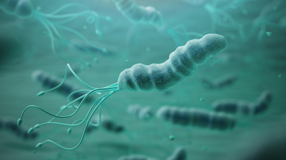 e-coli-bacteria-corp-oameni_72697700