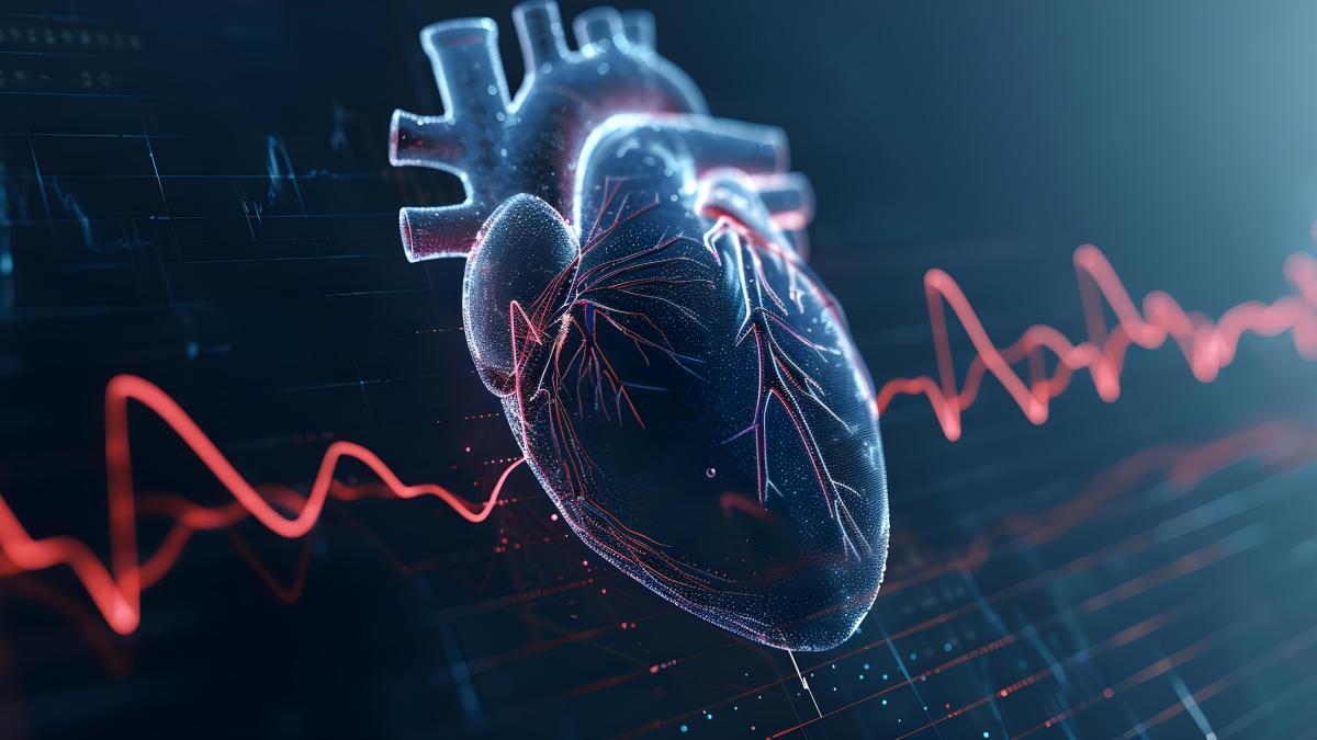 detailed-illustration-cardiac-conduction-system-regulating-heartbeats-cardiology-concept-cardiac-conduction-system-heartbeat-regulation-cardiology-illustration-electrical-impulses_37772300