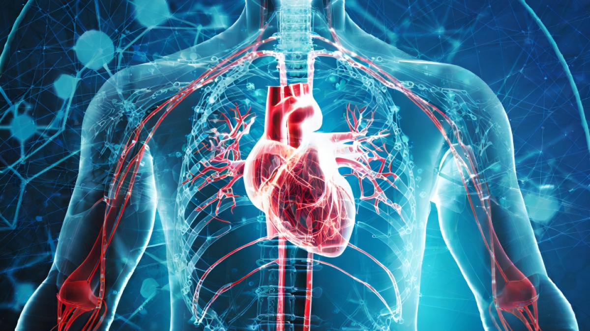 un-australian-a-devenit-primul-om-cu-o-inima-din-titan--a-trait-peste-100-de-zile-cu-ea--pana-a-facut-transplant_67495900