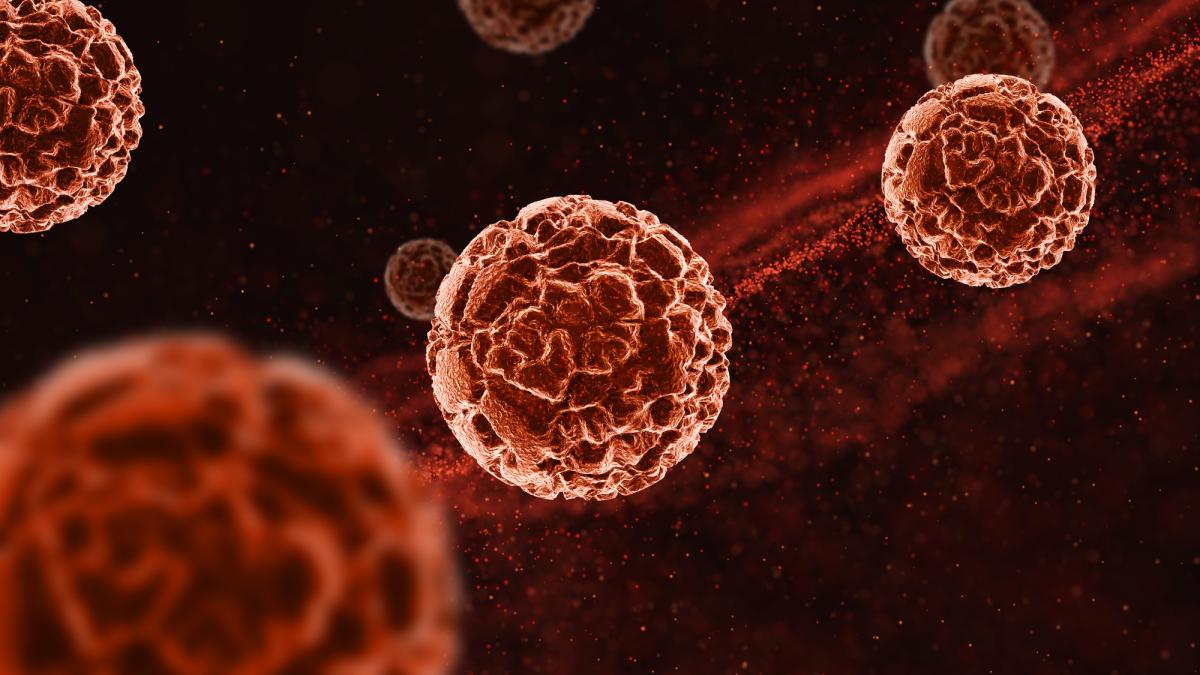 vaccinul-care-tinteste-tumorile-solide--are-efect-in-patru-tipuri-de-cancer_86436600