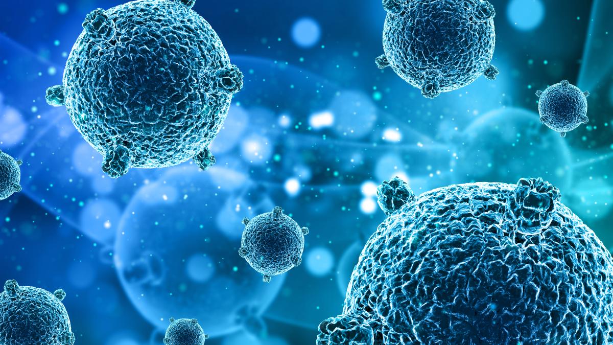hpv--asociat-si-cu-bolile-cardiovasculare--provoaca-inflamatie-cronica_68888600