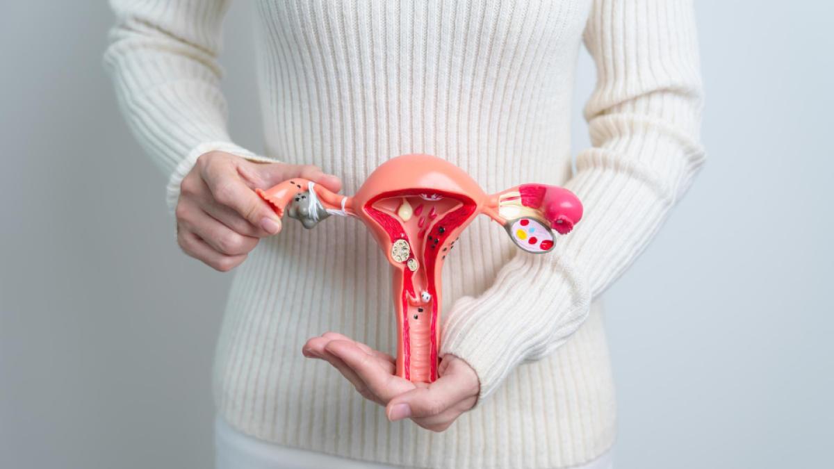 lucrul-important-pe-care-trebuie-sa-il-stii-despre-fibromul-uterin-_53272100_31945300