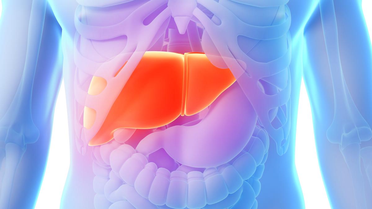 primul-transplant-de-ficat-de-porc-la-om--un-pas-spre-viitorul-xenotransplanturilor_14328600