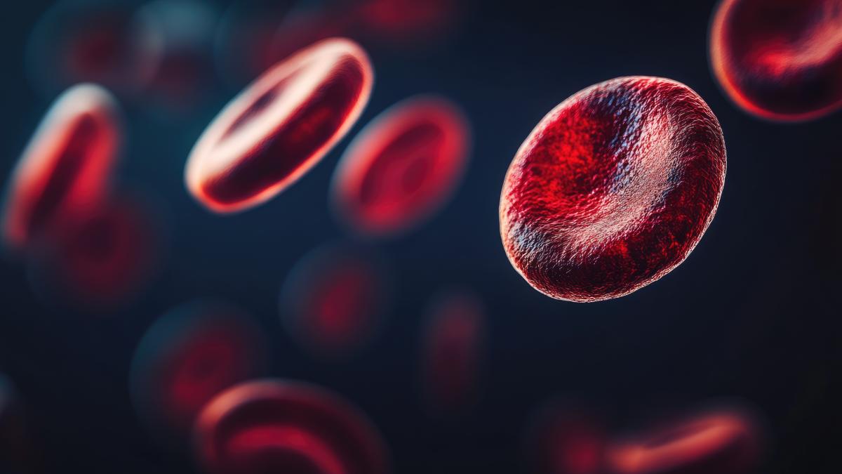ziua-mondiala-a-hemofiliei-2025--marcata-la-buzias-prin-dezbateri-si-un-cros-simbolic-pentru-dreptul-la-tratament-echitabil_00474600