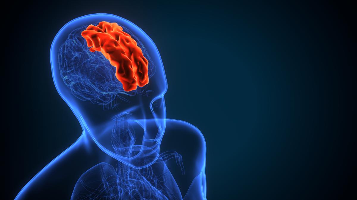 cum-sa-reduci-riscul-de-accident-vascular-cerebral-cu-o-simpla-schimbare-in-dieta--recomandata-de-un-expert-in-nutritie_73642700