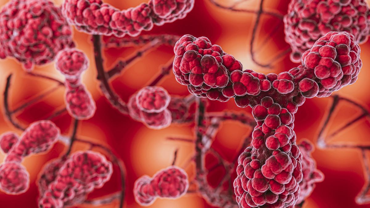 consumul-de-nuci-ar-putea-reduce-riscul-de-cancer--elimina-inflamatia-din-corp_34158500