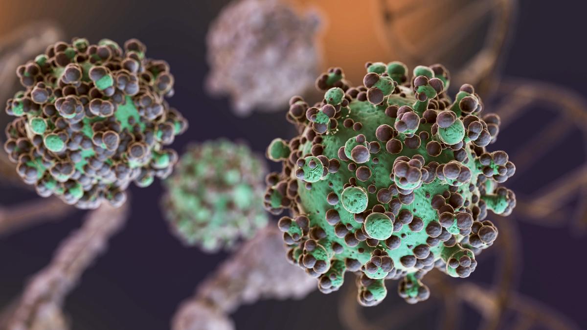 organizarea-3d-a-adn-ului--noua-tinta-terapeutica-in-glioblastom_42273900