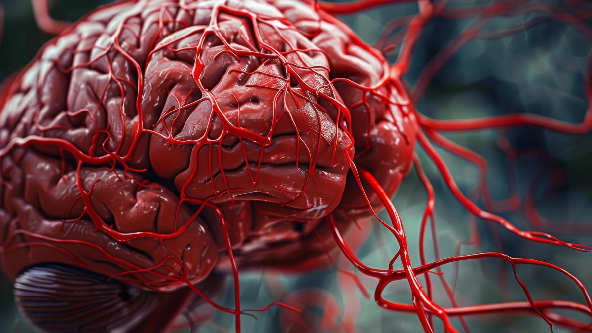 semnele-unui-anevrism-cerebral-care-nu-trebuie-ignorate--avertizeaza-un-medic_35285800