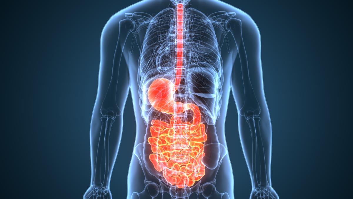 colibactina--toxina-bacteriana-care-lasa-amprente-genetice-si-declanseaza-cancerul-colorectal-la-tineri_31568900