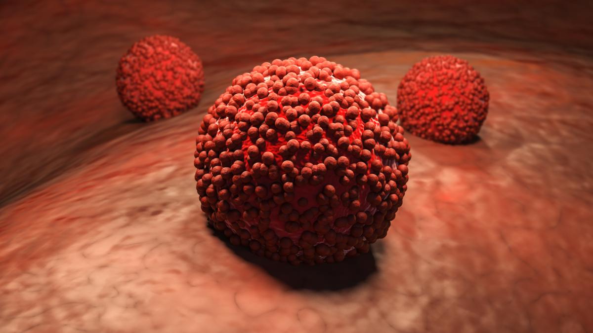 rosiile-si-cartofii-pot-inhiba-cresterea-celulelor-canceroase_10440200