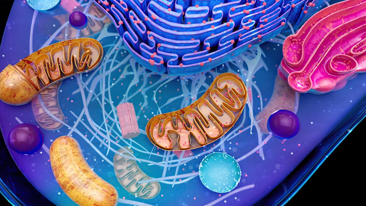 asta-iti-schimba-totul-in-sanatatea-intestinului--descoperirea-care-te-va-surprinde-complet_30642700